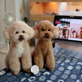 Load image into Gallery viewer, Wool Felt - Teddy