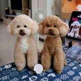Load image into Gallery viewer, Wool Felt - Teddy