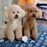 Load image into Gallery viewer, Wool Felt - Teddy