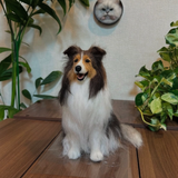 Load image into Gallery viewer, Wool felt pet customization
