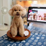 Load image into Gallery viewer, Wool Felt - Teddy