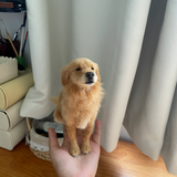 将图片加载到图库查看器，Wool felt - small squint eyes