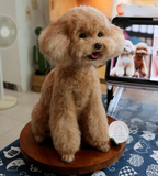Load image into Gallery viewer, Wool Felt - Teddy
