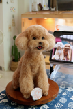 Load image into Gallery viewer, Wool Felt - Teddy