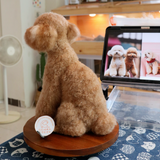 Load image into Gallery viewer, Wool Felt - Teddy
