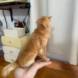 将图片加载到图库查看器，Wool felt - small squint eyes