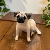 Load image into Gallery viewer, Wool felt pet customization