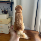 将图片加载到图库查看器，Wool felt - small squint eyes