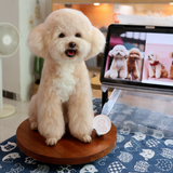 Load image into Gallery viewer, Wool Felt - Teddy