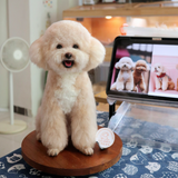 Load image into Gallery viewer, Wool Felt - Teddy