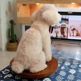 Load image into Gallery viewer, Wool Felt - Teddy