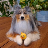 Load image into Gallery viewer, Wool felt pet customization