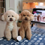 Load image into Gallery viewer, Wool Felt - Teddy