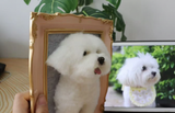 Load image into Gallery viewer, Dog photo frame