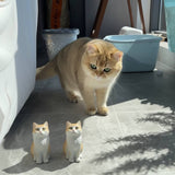 Load image into Gallery viewer, Cat's whole body