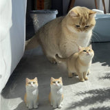 Load image into Gallery viewer, Cat's whole body