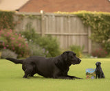 Load image into Gallery viewer, Dog's whole body