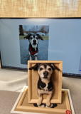 Load image into Gallery viewer, Dog photo frame