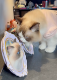 Load image into Gallery viewer, Cat photo frame