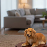 Load image into Gallery viewer, Dog's whole body