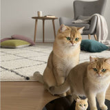 Load image into Gallery viewer, Cat's whole body