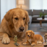 Load image into Gallery viewer, Dog's whole body