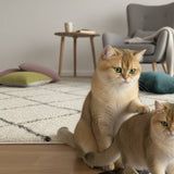 Load image into Gallery viewer, Cat's whole body