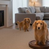 Load image into Gallery viewer, Dog's whole body