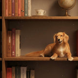 Load image into Gallery viewer, Dog's whole body