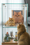 Load image into Gallery viewer, Cat's whole body